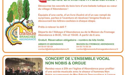 Journées du Patrimoine de Pays - Balade Branchée à Abondance