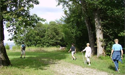 Forêt de Ripaille