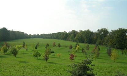 Mémorial National des Justes - "La Clairière des Justes"