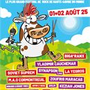 Festival Rock'n Poche