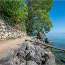 Domaine de Rovorée - La Châtaignière